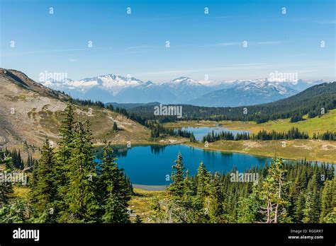 Small Lakes In Front Of Snow Capped Mountains Garibaldi Provincial