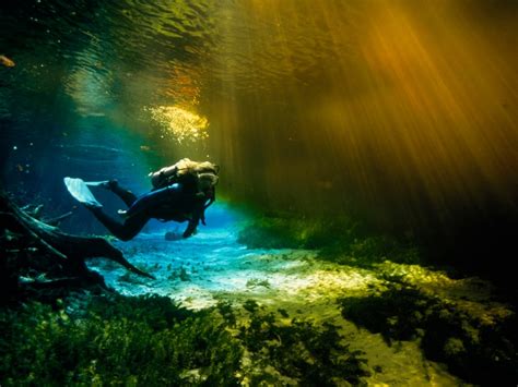 Dive Freshwater Caves Florida Best American Adventures National
