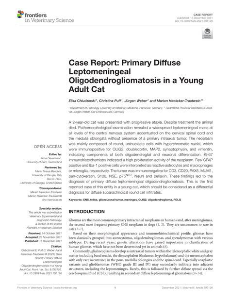 Pdf Case Report Primary Diffuse Leptomeningeal