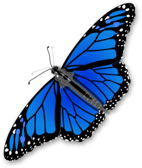 Clipart butterfly realistic, Clipart butterfly realistic ...