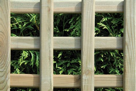 Square Lattice Worcester Timber Products