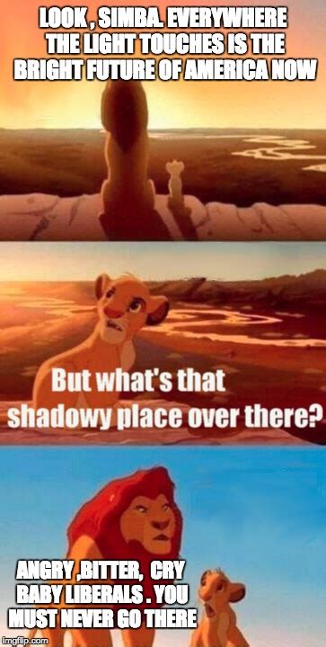 Simba Shadowy Place Meme Imgflip