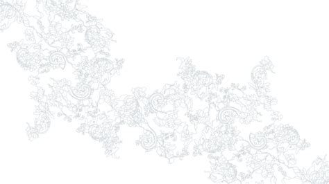 White Lace Hd Wallpapers Pixelstalknet