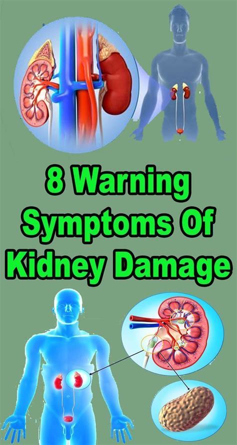 Kidney Damage Falls Under Those Problems That People Dont Get To Know