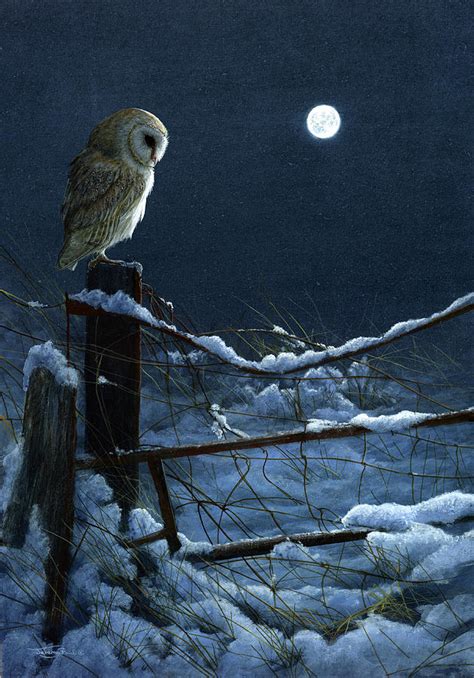 1074 Silent Night Barn Owl Painting By Jeremy Paul Fine Art America
