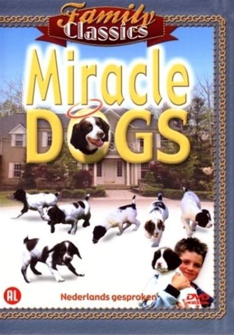 Miracle Dogs Dvd Stacy Keach Dvds
