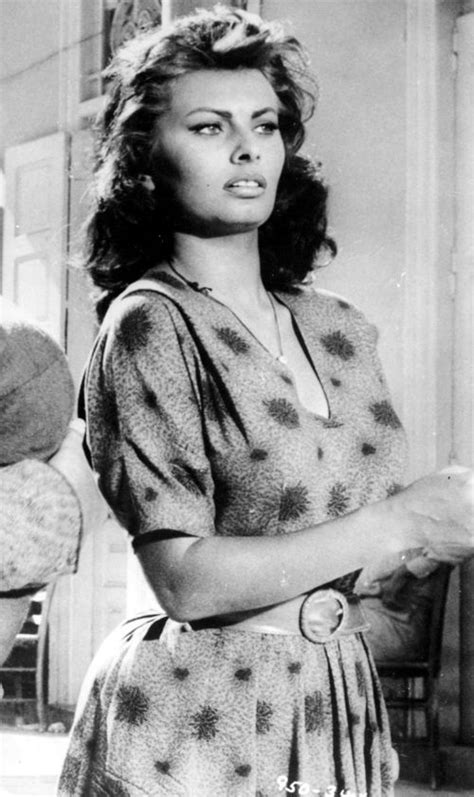 Sophia Loren Sofia Loren Hollywood Stars Classic Hollywood Old
