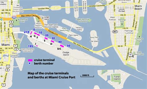 Professor Cruise Ship Cruise Departure Port Miami Usa