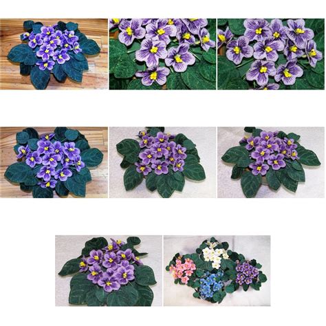 Purple Fabric African Violets Oregonpatchworks
