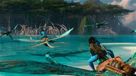 Avatar 2 Where Was The Way Of The Water Filmed In Which Country