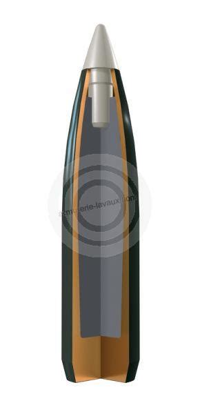 Winchester Cal243 Win Ballistic Silvertip 55 Grains 37 Grammes 20 Armurerie Lavaux