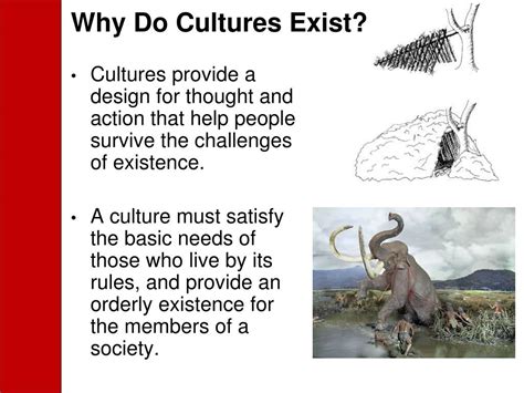 Ppt Characteristics Of Culture Powerpoint Presentation Free Download