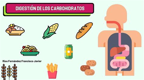 Resúmenes de Digestión de carbohidratos Descarga apuntes de Digestión de carbohidratos