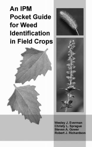 New Weed Identification Guide Available Msu Extension