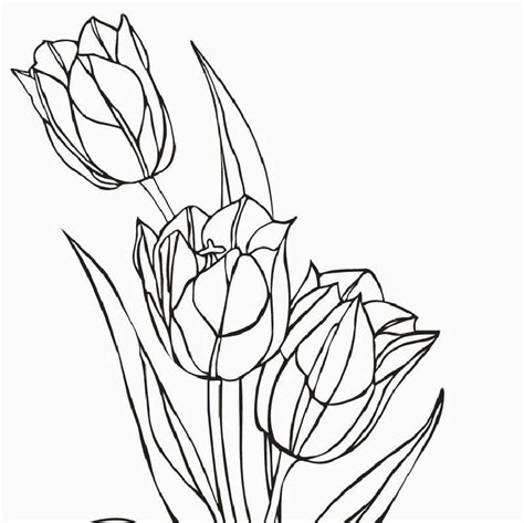 Stai cercando dei disegni di fiori ? DISEGNI DA COLORARE: tema FIORI | Settemuse.it