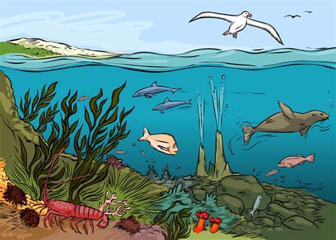 All the clipart images are copyrighted to the respective creators, designers and authors. Quia - Science Review: Cells & Ecosystems
