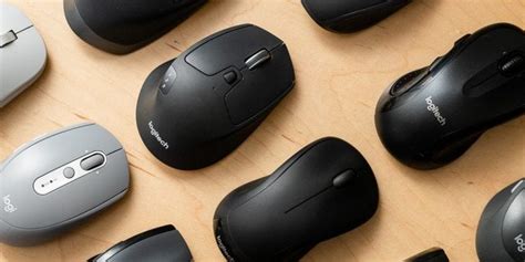 Best Silent And Quiet Gaming Mouse Review In 2020 Roach Fiend