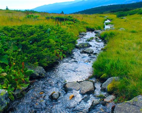 River Runningin A Meadow Stock Image Image Of Summer 114485617