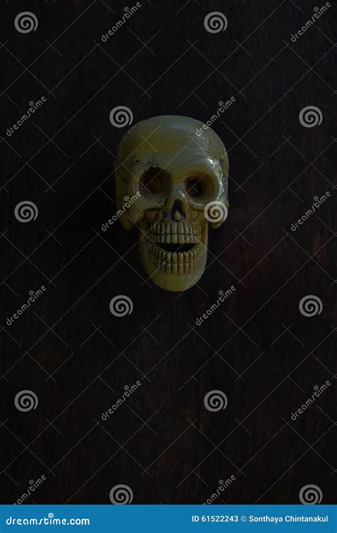 Human Skull In Black Stock Image Image Of Darkness Life 61522243