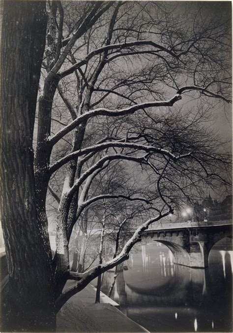 Brassaï Trees And The Pont Neuf Paris France 1945 S Brassai