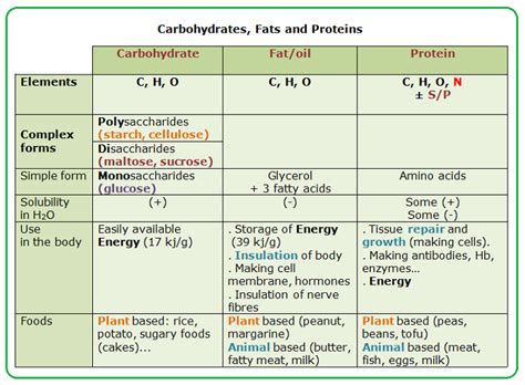 Main Nutrients Carbohydrates Fats And Proteins Biology Notes For