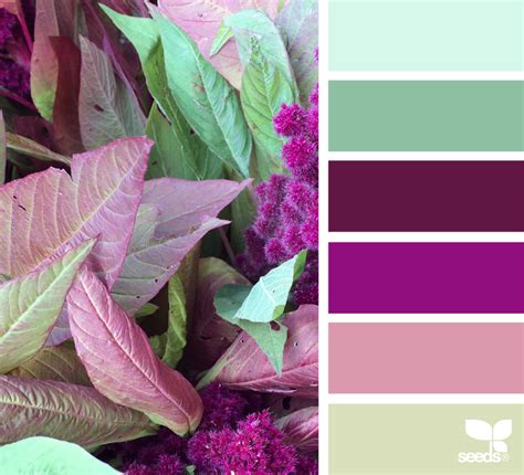 Nature Palette In 2020 Paint Color Schemes Seeds Color Design Seeds