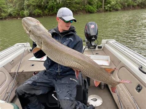 Probable New Wv Record Muskie Caught And Released Muskiefirst