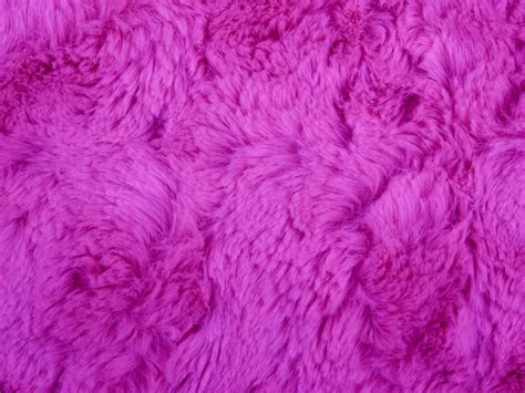 Purple Fur Background Free Stock Photo - Public Domain Pictures