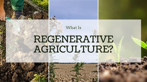 What Is Regenerative Agriculture