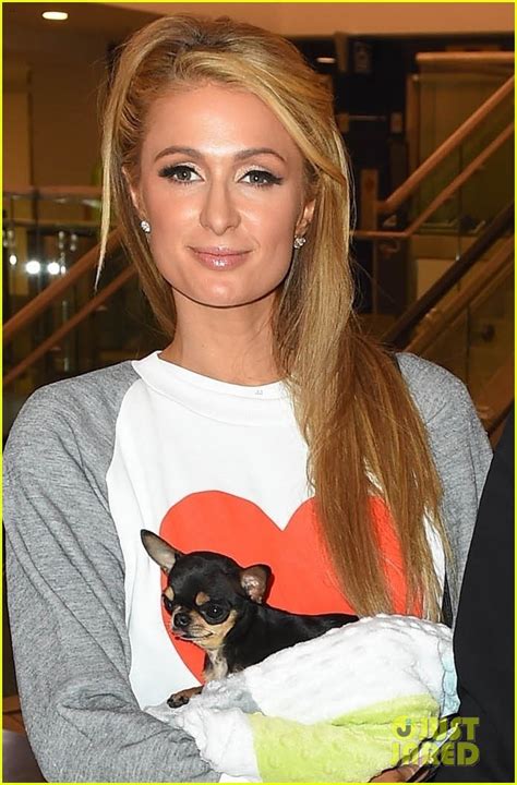 Paris Hilton Carries Her Cute Pup Through Lax Airport Photo 3978654