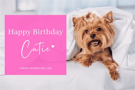Fun Happy Birthday Wishes For Dog Lovers The Write Greeting