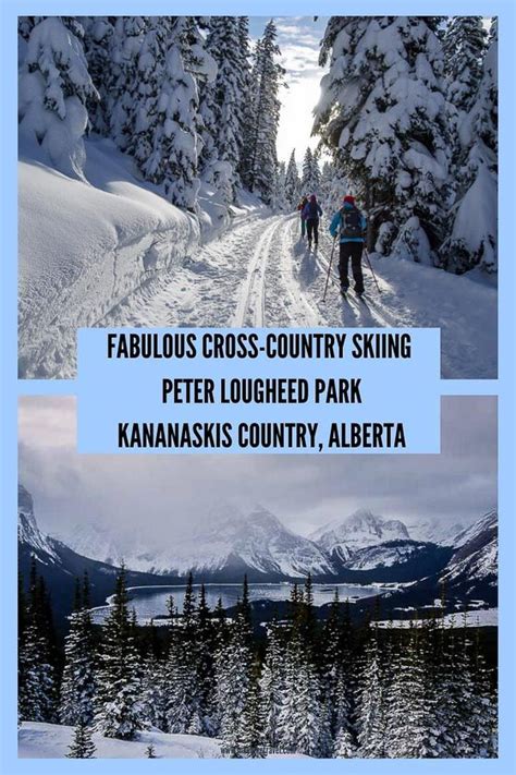 Cross Country Skiing In Peter Lougheed Provincial Park Cross Country
