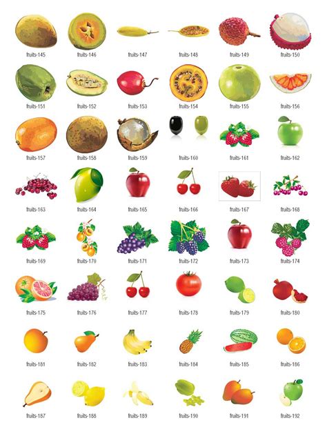 Name 3 fruits that grow on bushes. Clipart fruit name, Clipart fruit name Transparent FREE ...