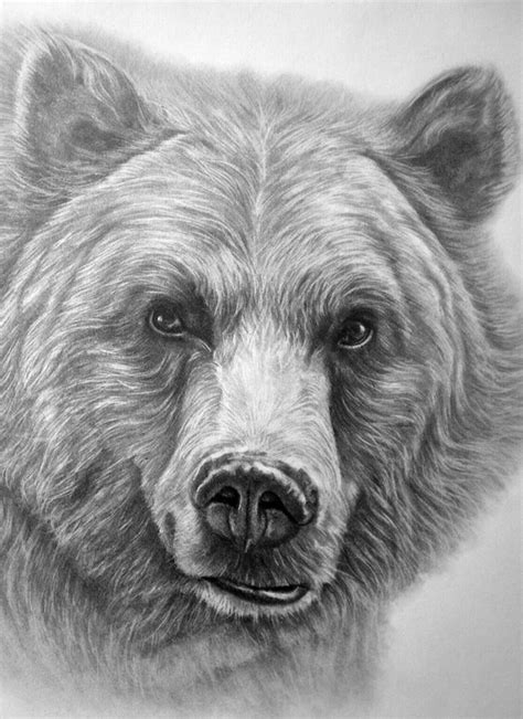 Welcome to the realistic animals group. 85 Simple And Easy Pencil Drawings Of Animals For Every ...
