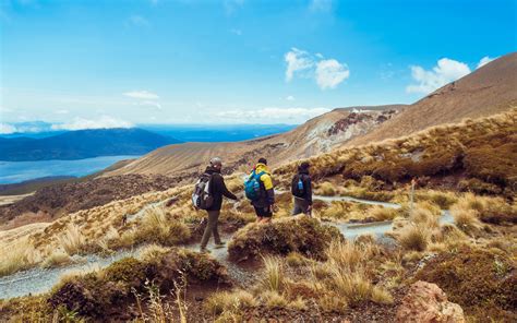 5 Reasons Holiday Home In New Zealand Is The Perfect Way To Rest On