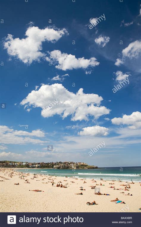Bondi Beach Sunbathers Hi Res Stock Photography And Images Alamy