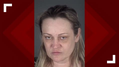 Hudson Mom Arrested For Dui Accused Of Falling Asleep At The Wheel
