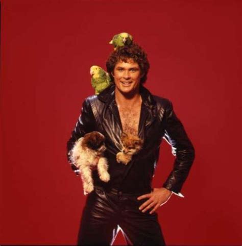 Just David Hasselhoff With Some Puppies Vintage Everyday Knight