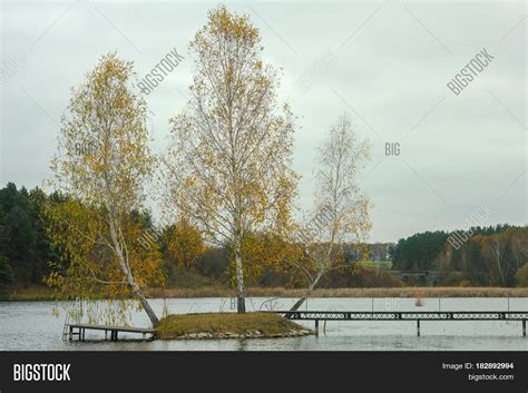 Swampy Lake Mirrored Image And Photo Free Trial Bigstock