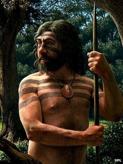 Dna Reveals Neanderthal Extinction Clues Bbc News