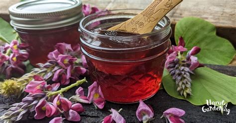 How To Make Kudzu Flower Jelly Labels Unruly Gardening