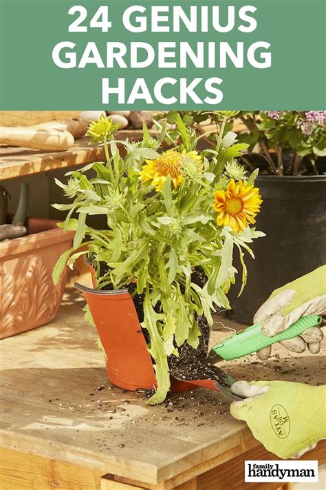 24 genius gardening hacks easy garden lawn and garden backyard garden outdoor diy projects