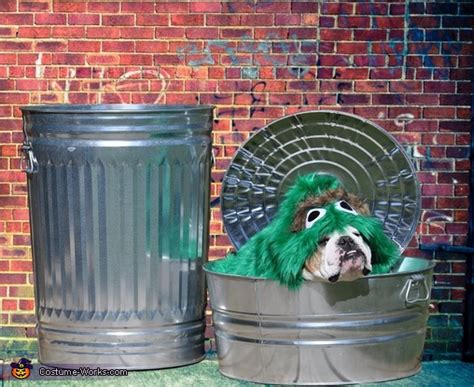 Oscar The Grouch Dogs Halloween Costume Diy Costumes Under 65
