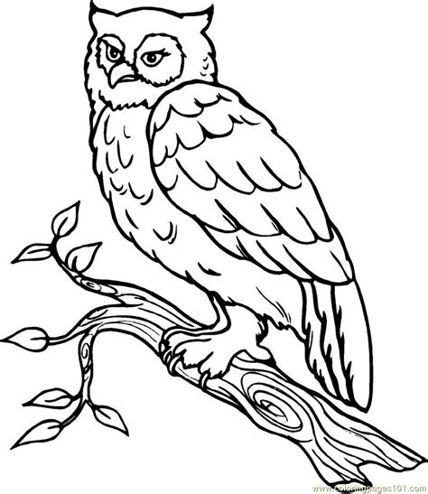 Printable Coloring Pages Of Owls