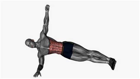 Plank Reach Through Fitness Exercise Workout Animation Video Male