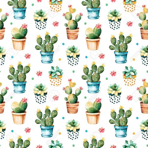 Cute Cactus Succulent Wallpaper Succulents Wallpaper Switch Plate