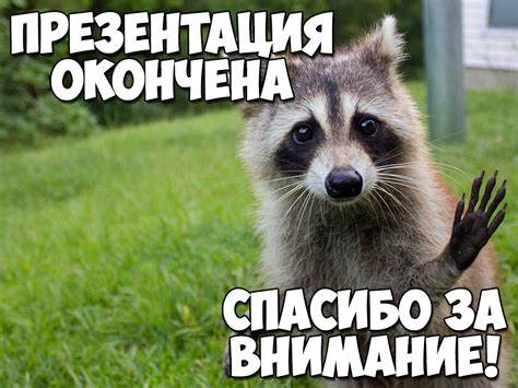 Спасибо за внимание для презентации сказки Картинка - Спасибо за внимание для презентации сказки