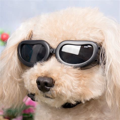 Dog Sunglasses In Hand Uv Protective Foldable Pet Sunglasses