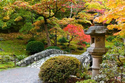 Autumn In A Japanese Garden Photograph By Denise Lett