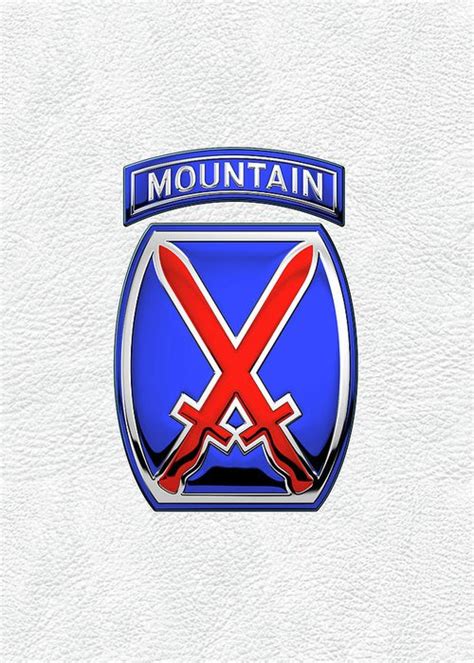 10th Mountain Division 10th M T N Insignia Over White Leather